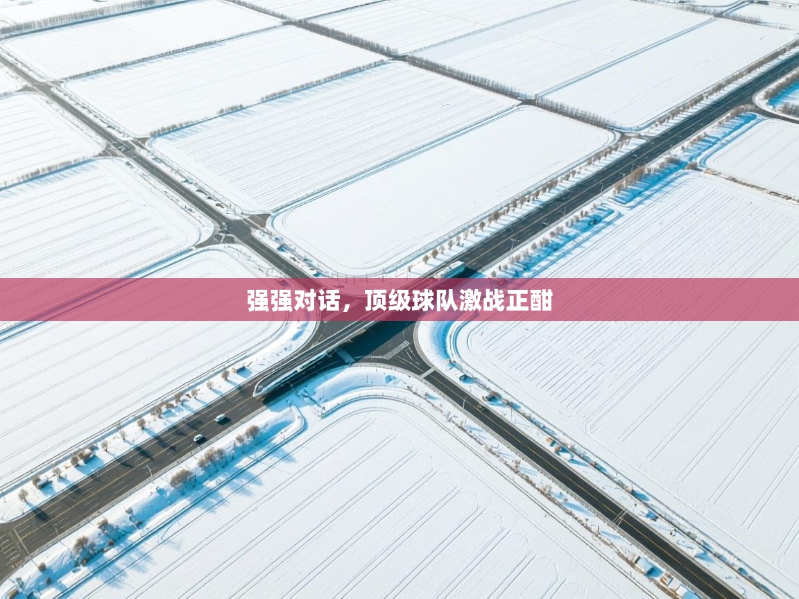 强强对话，顶级球队激战正酣  第1张