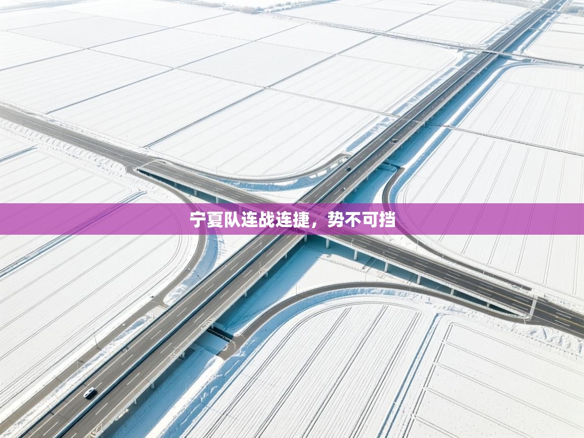 宁夏队连战连捷，势不可挡